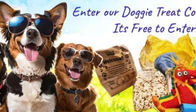 Oakdown Holiday Park - Doggie Competition 2025 with Pawsbox