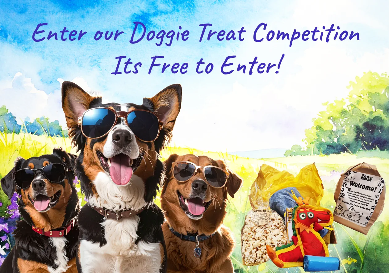 Oakdown Holiday Park dog competition promotional image with happy dogs and prizes