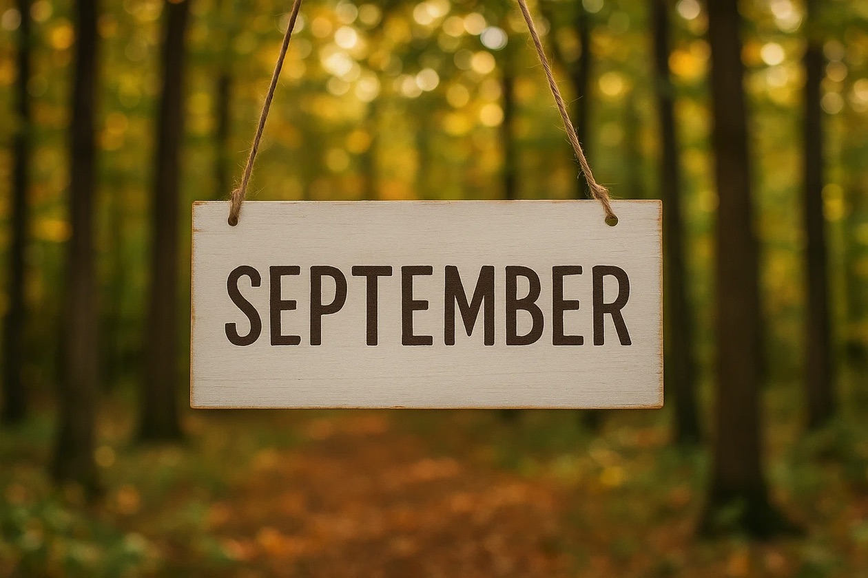 September Adventures sign with East Devon countryside background