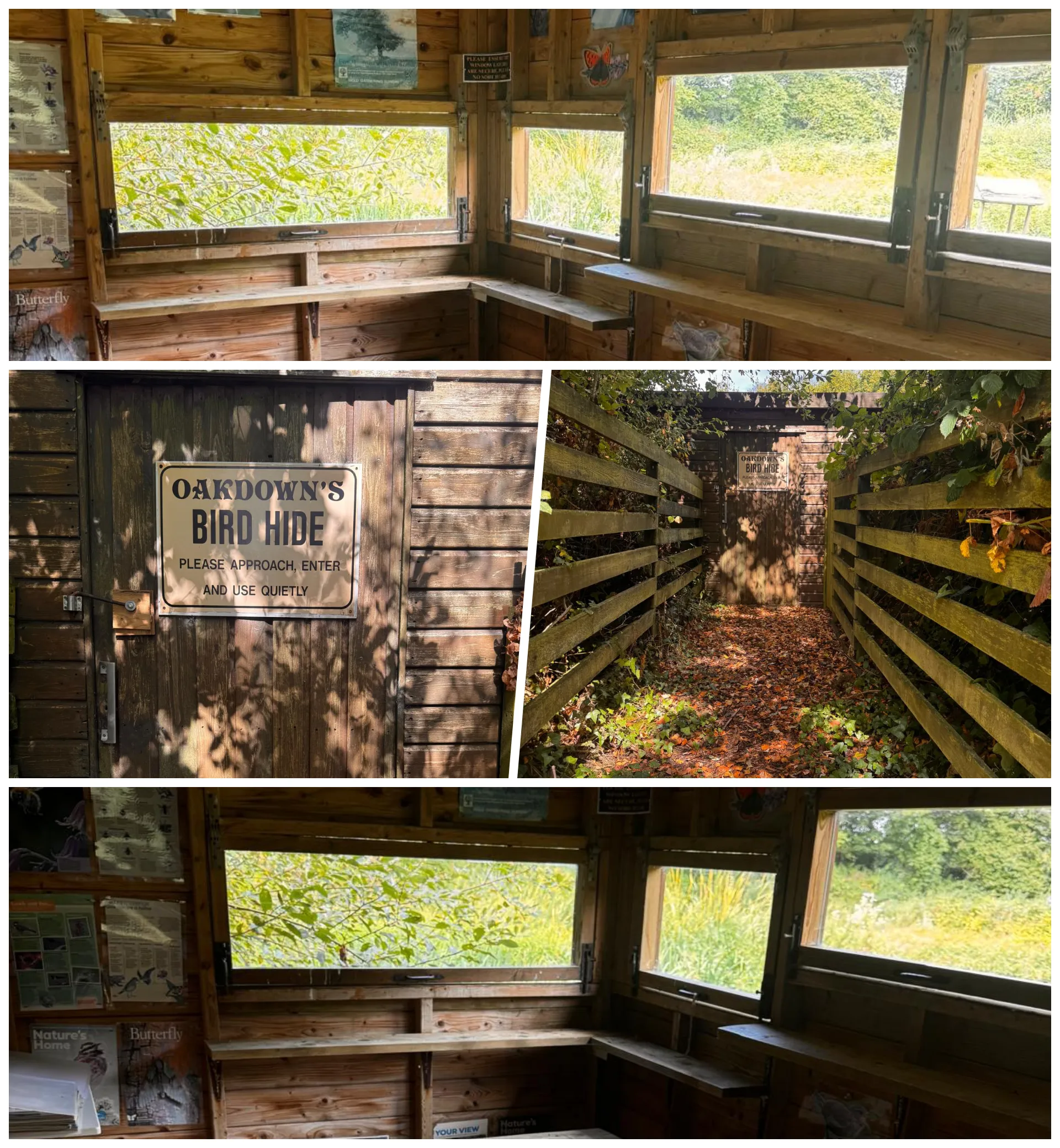 Bird Hide Collage at Oakdown Holiday Park near Sidmouth East Devon