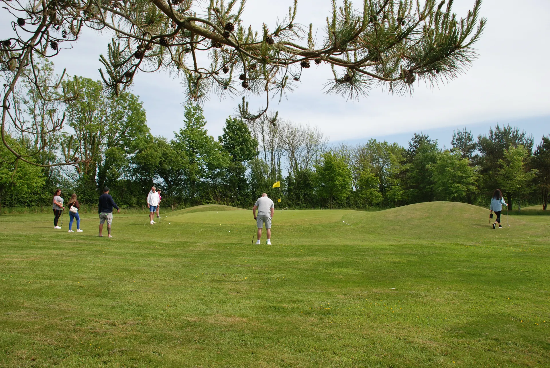 Players spread across the course at Oak Mead, framed by the branches of a pine in the foreground