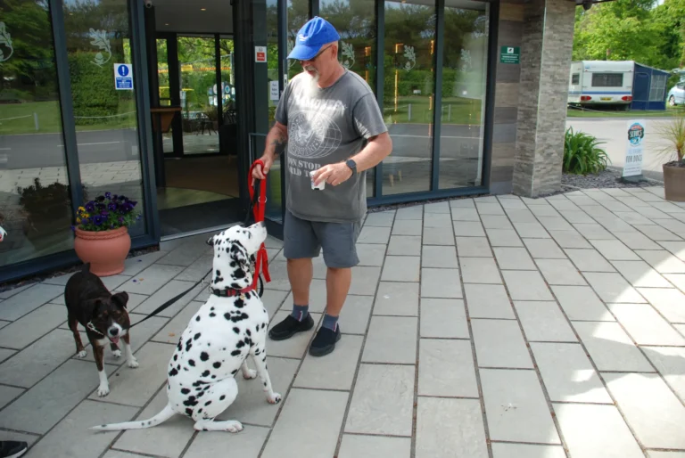 A man outside the reception building holding a Dalmatian and a small black dog on their leads