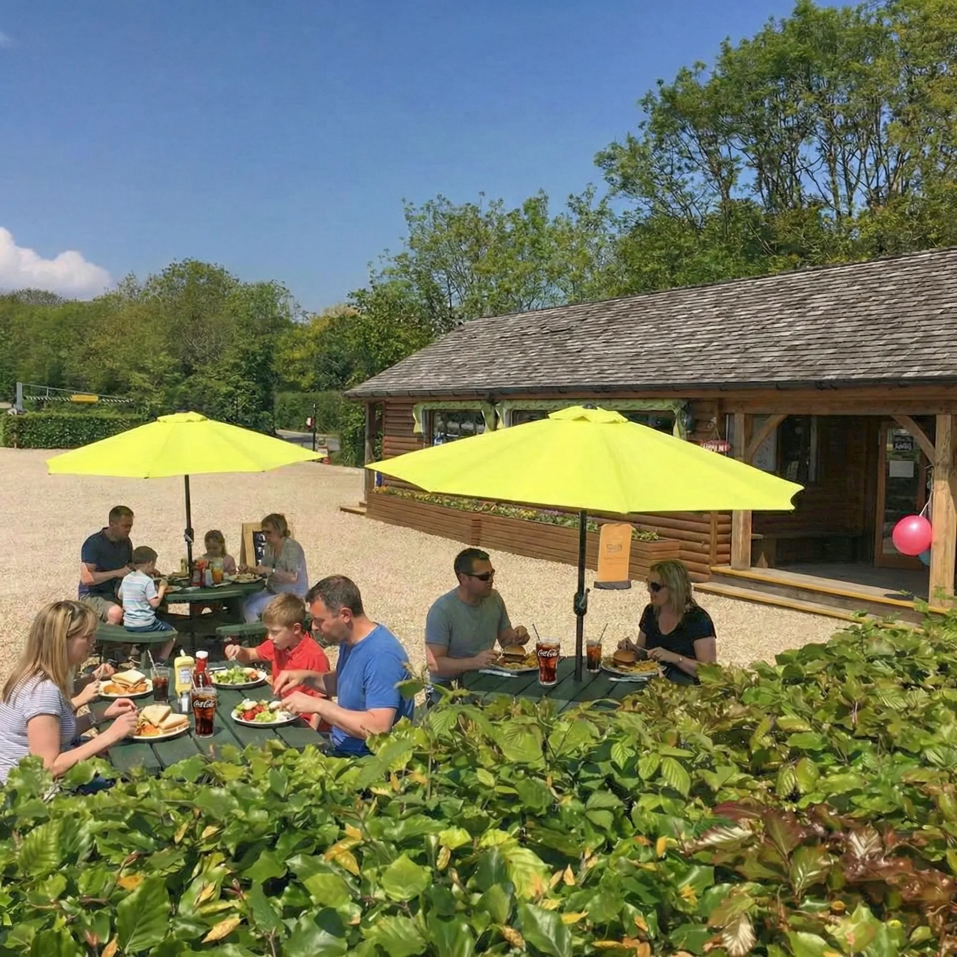 People sitting at picnic tables under yellow parasols outside the Oak Mead cafe, with planting in the foreground